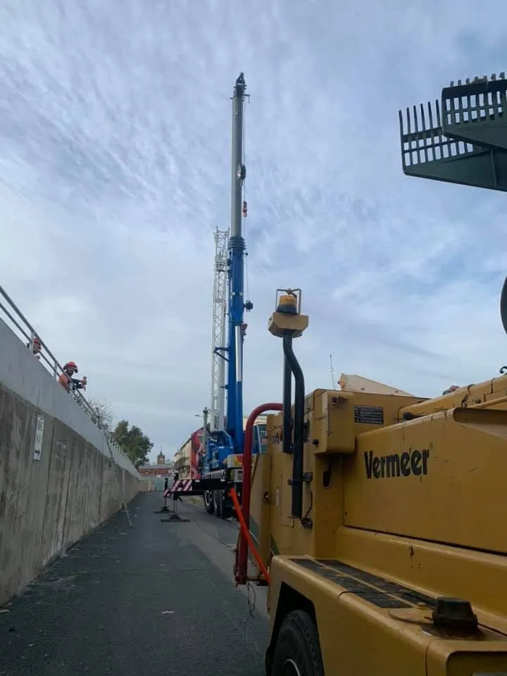 Tree Lopping Wagga Wagga by Kendall's Tree Service