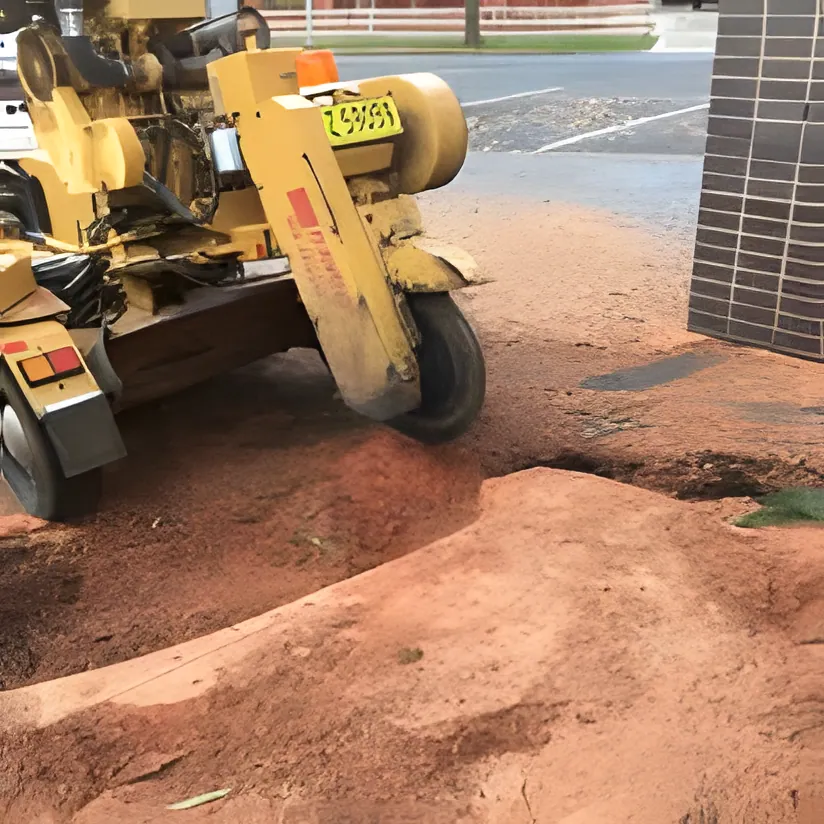 Stump Grinding job in Wagga Wagga by Kendall's Tree Service