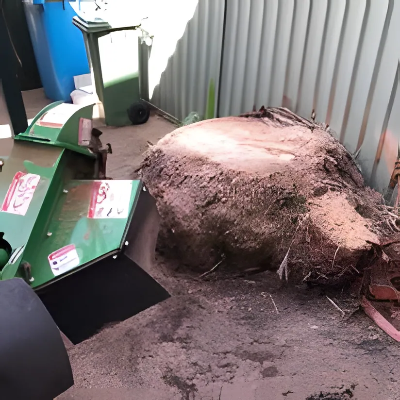 Stump Grinding job in Wagga Wagga by Kendall's Tree Service