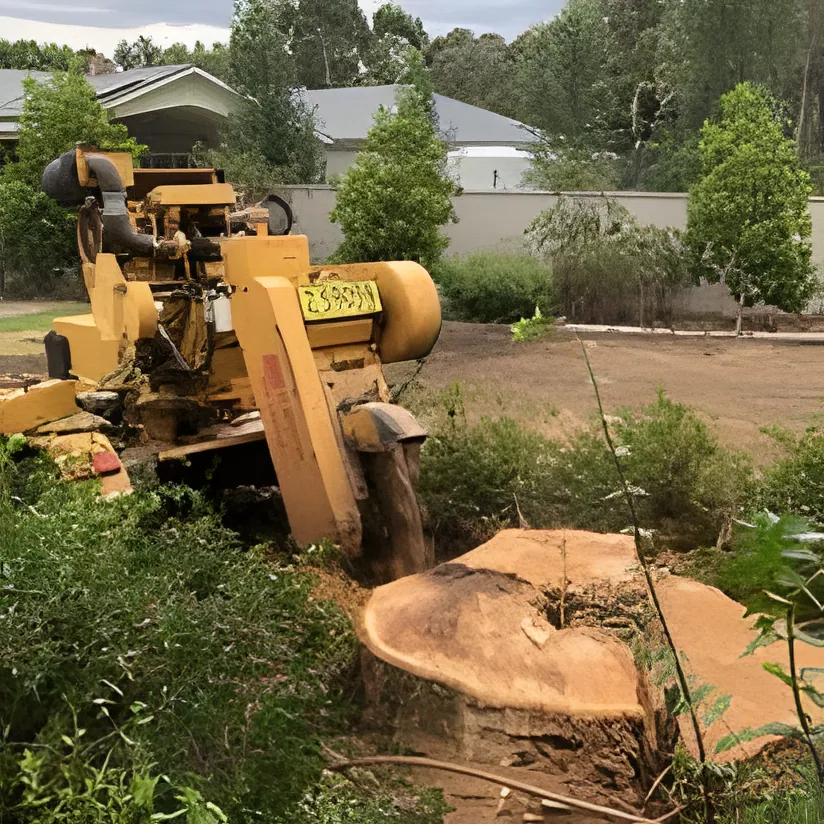 Stump Grinding Wagga Wagga