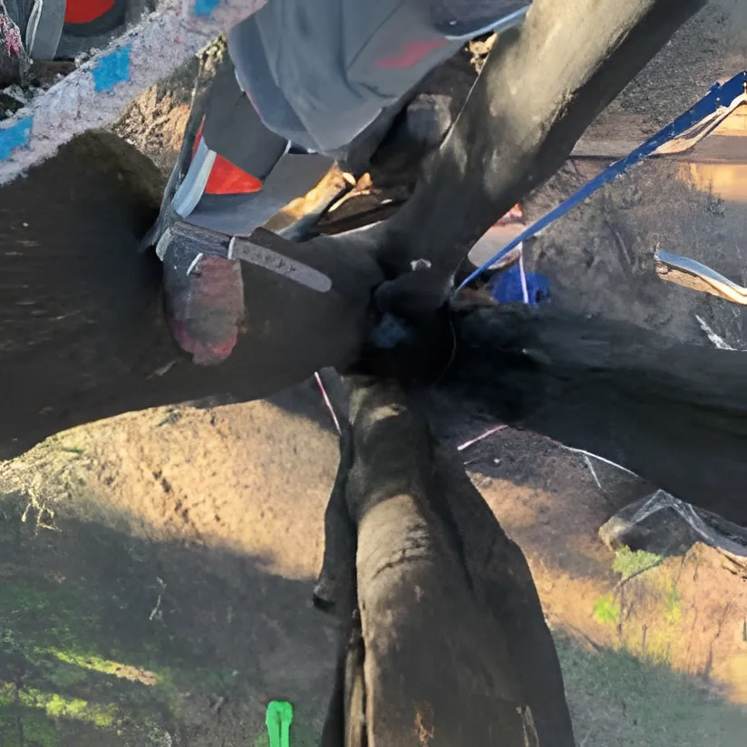 Tree Pruning & Trimming job in Wagga Wagga by Kendall's Tree Service