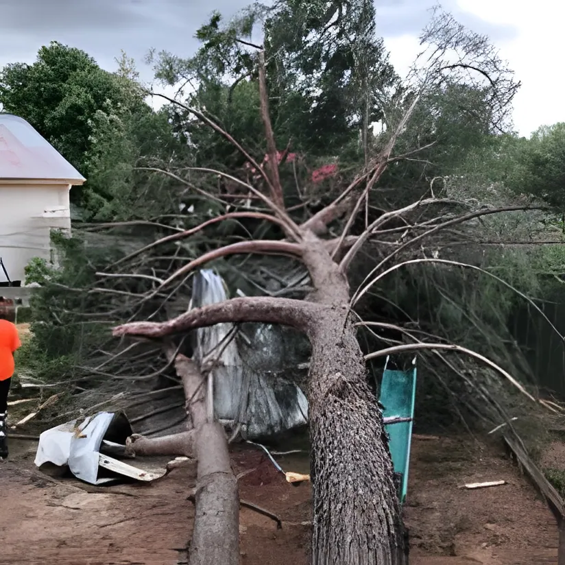 Emergency Tree Work job in Wagga Wagga by Kendall's Tree Service