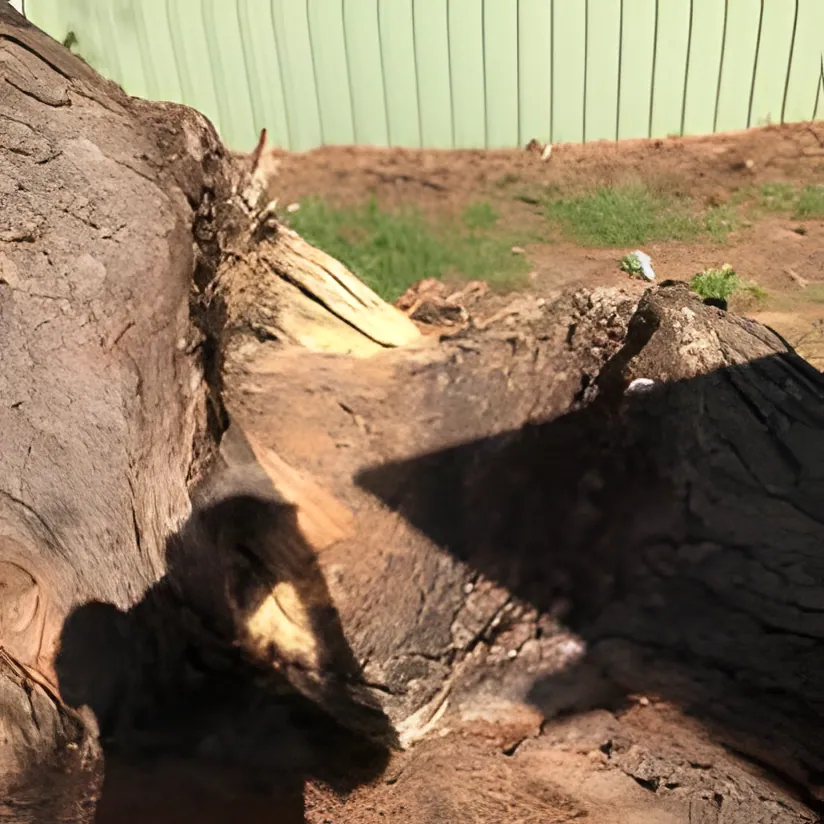 Stump Grinding job in Wagga Wagga by Kendall's Tree Service