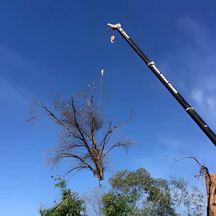 Strategic Reductions Wagga Wagga