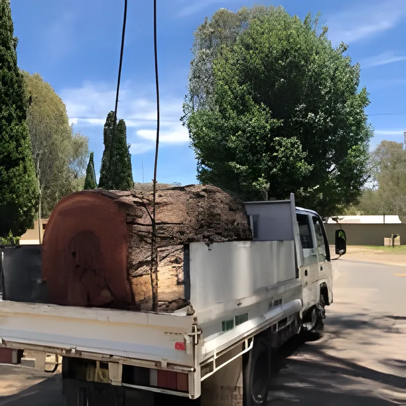 Tree work by Kendall's Tree Service in Wagga Wagga